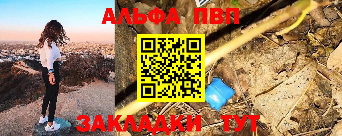 Alfa_PVP СК КРИС Саяногорск