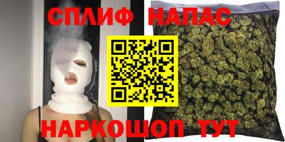 СК Дубна
