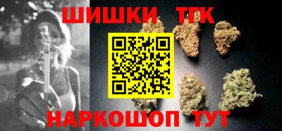 СК Дубна